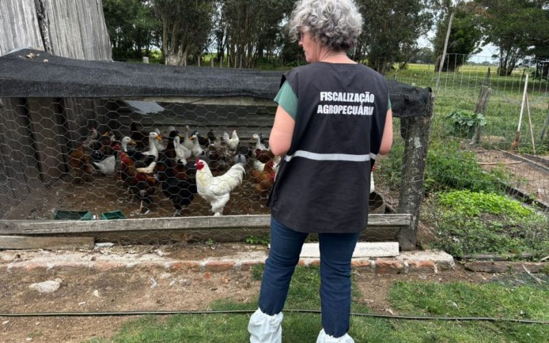Governo Estadual inspeciona propriedades próximas ao surto de gripe aviária.