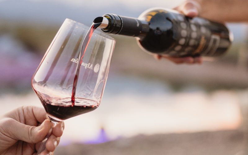 Dia do Malbec é celebrado em 17 de abril: conheça a história da uva francesa que virou símbolo da Argentina