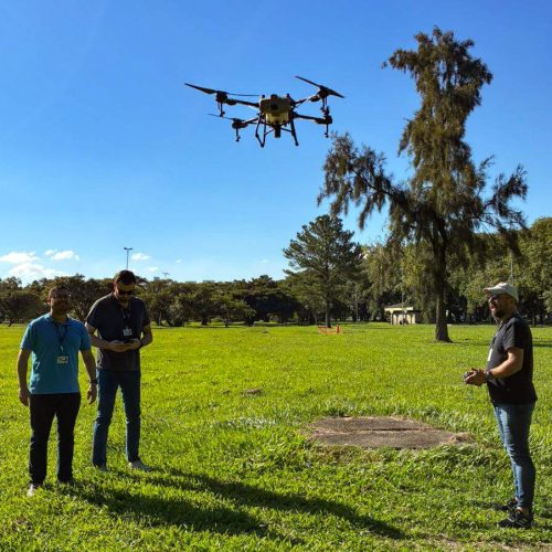 Porto Alegre inova com drones na aplicação de inseticidas para combater larvas do mosquito da dengue