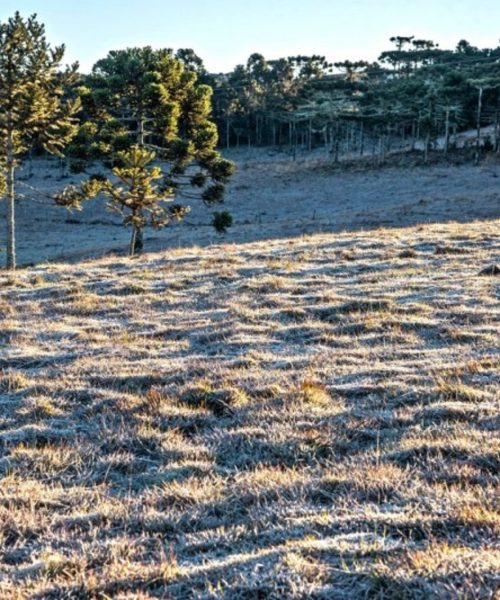 Inmet emite alerta amarelo para possibilidade de geada no Rio Grande do Sul neste fim de semana